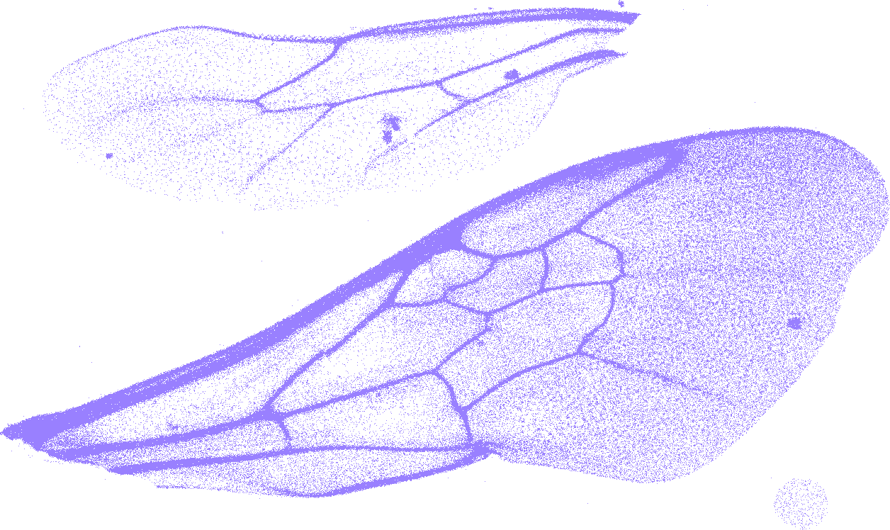 Graphic 3